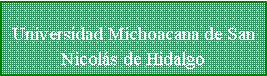 Cuadro de texto: Universidad Michoacana de San Nicols de Hidalgo
